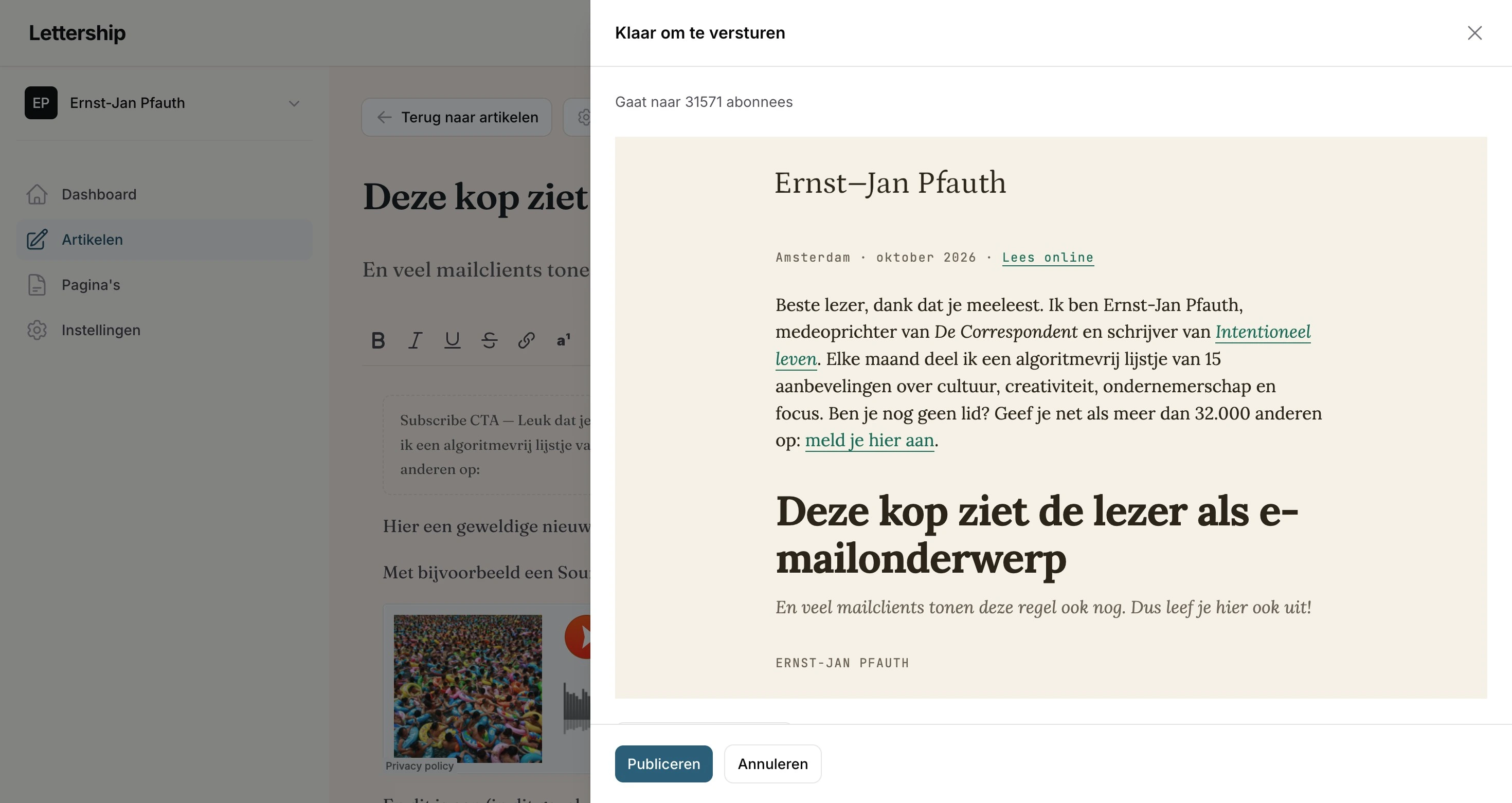 Publiceren paneel